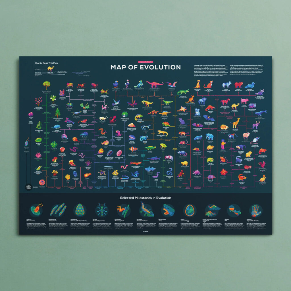 Kurzgesgast - Map of Evolution